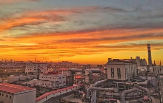 钢城悦听丨在钢城沃土绽放青春芳华(图3)