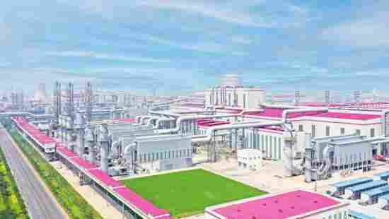 钢城悦听丨在钢城沃土绽放青春芳华(图4)