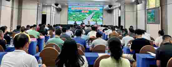 特别报道 ▏碧海通衢 琼路焕新（三）——路网为基 智治为翼(图4)