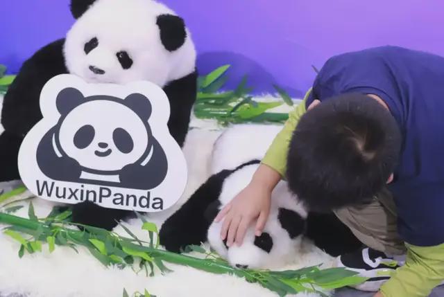 暴走2万步逛CES2026：9大方向最火，中企霸场，机器人全明星乱斗