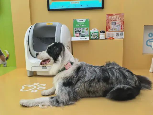 暴走2万步逛CES2026：9大方向最火，中企霸场，机器人全明星乱斗